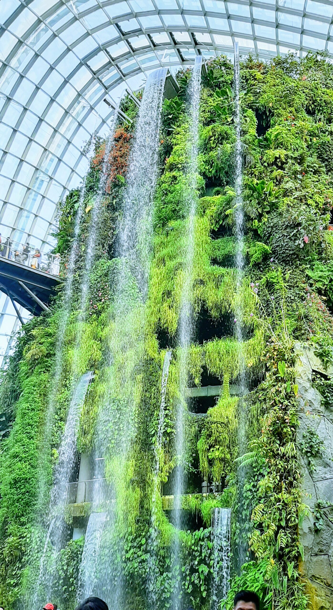 Forest Dome water fall